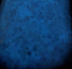 Load image into Gallery viewer, Water Boy - Adam Sandler Collection UV Glow