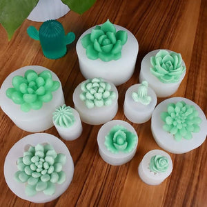 Succulent A - Succulent Mould Collection