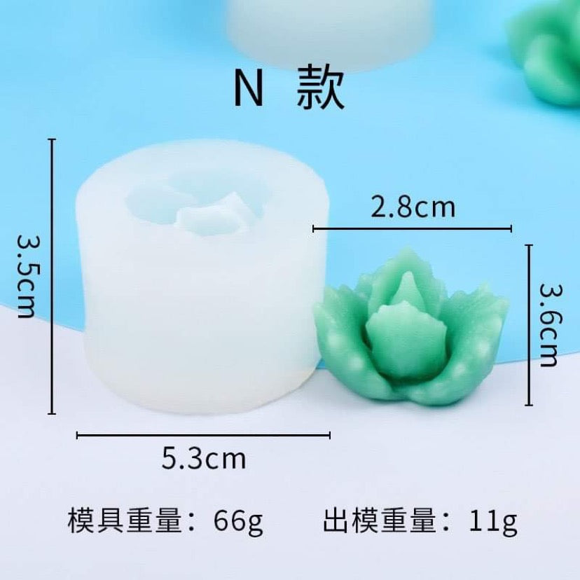 Succulent N - Succulent Mould Collection