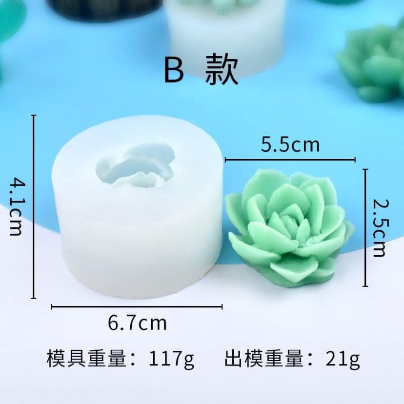 Succulent B - Succulent Mould Collection